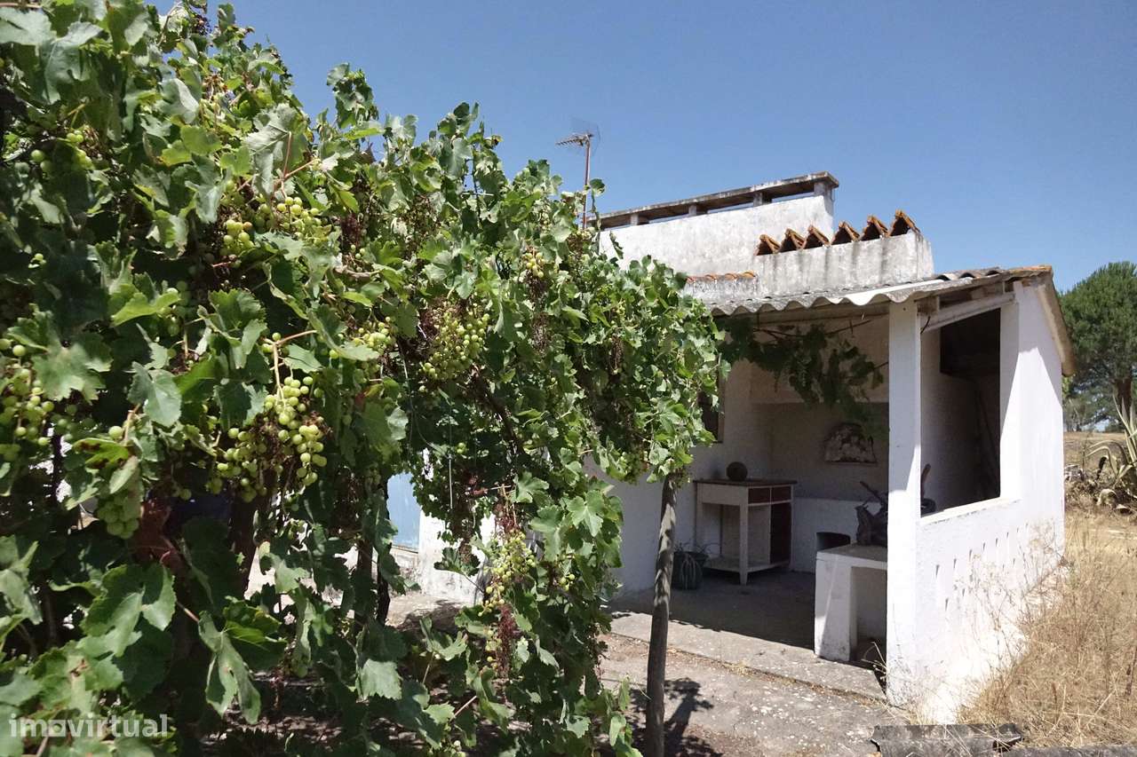 Quinta da Charneca Ribatejana - Zebro / Coruche-7
