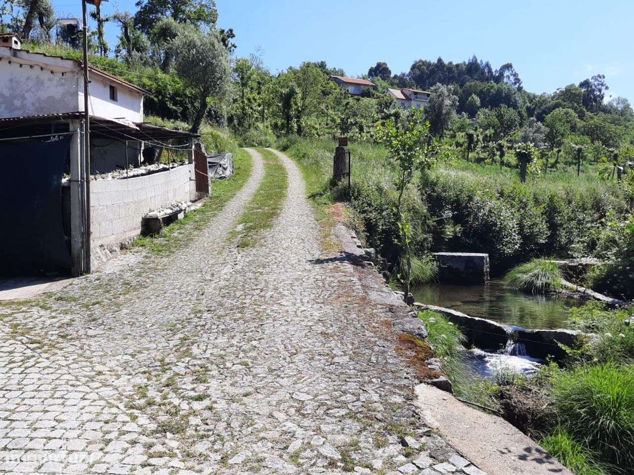 Terreno com 3.978m2 em São Gens - Fafe - Grande imagem: 4/35