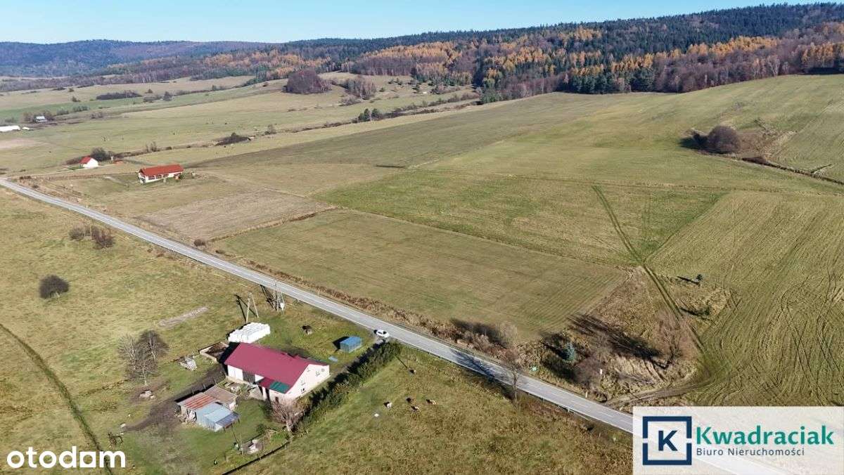 Piękna, budowlana działka w Zdyni!-11