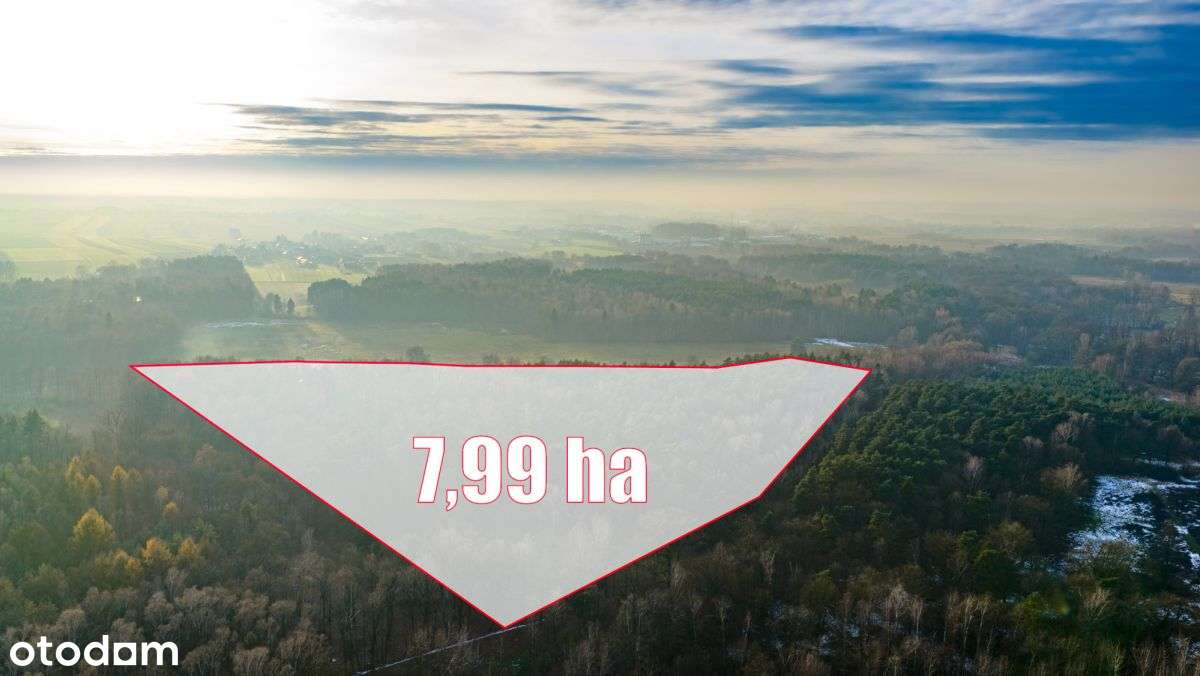Działka Premium z prywatny lasem - 7,99ha-2