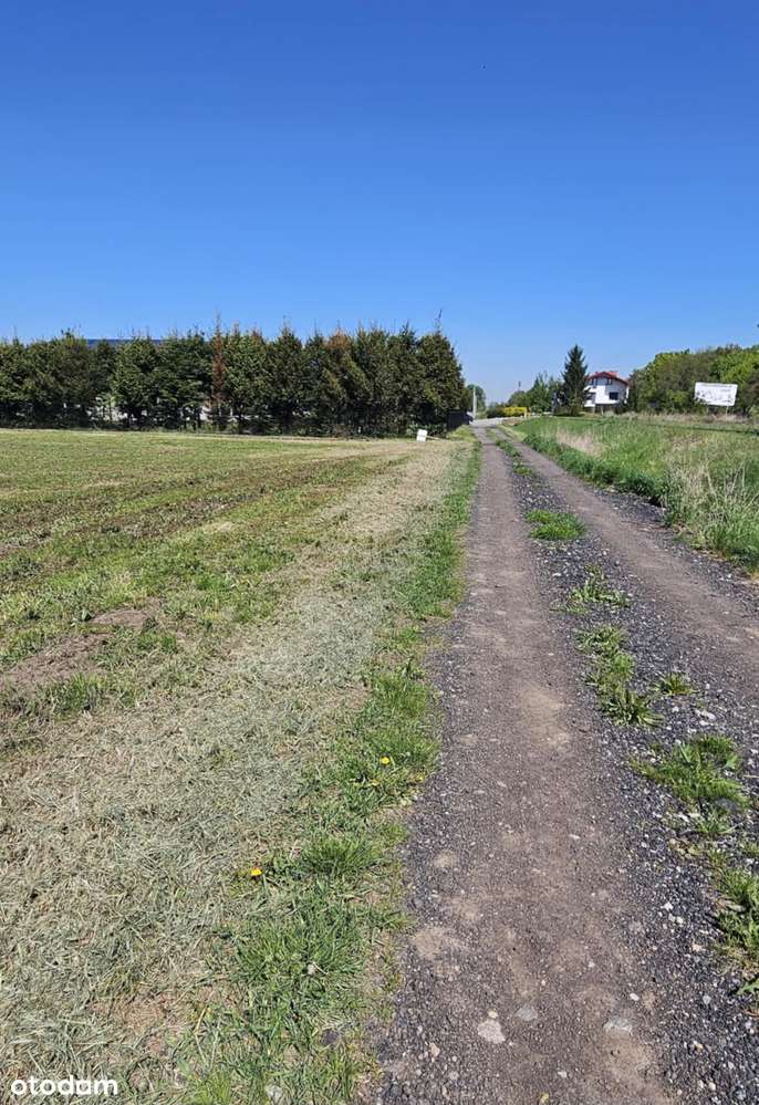 Jordanów Śląski działka usługowa ponad 0,5ha niecałe 63zł/m2 - Pełny obrazek: 4/8