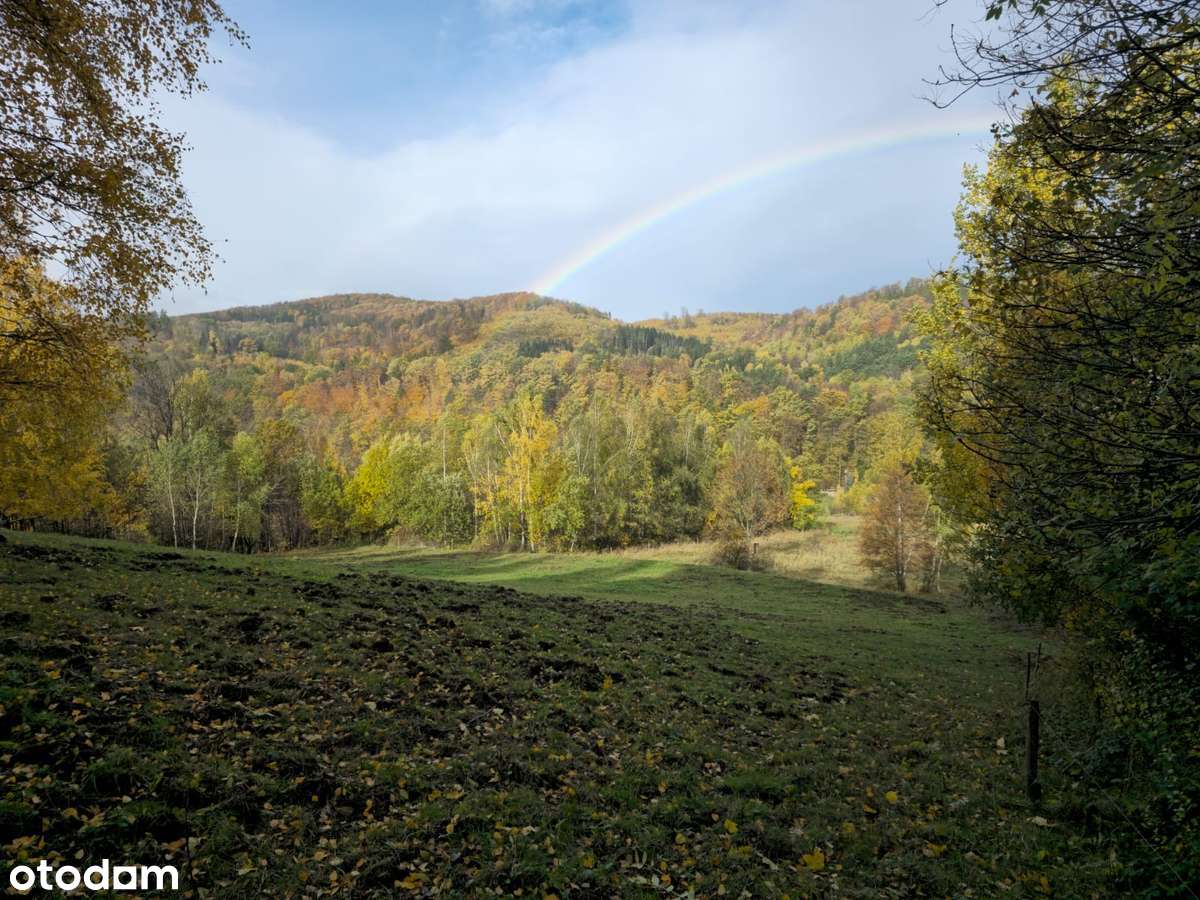 4 Działki przy lesie z widokiem na Góry Sowie-11