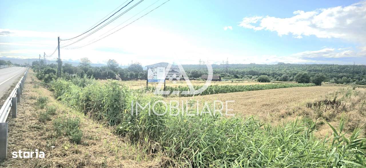 Teren de vis în Sat Moi, Comuna Bâlteni - Imagine principală: 3/6