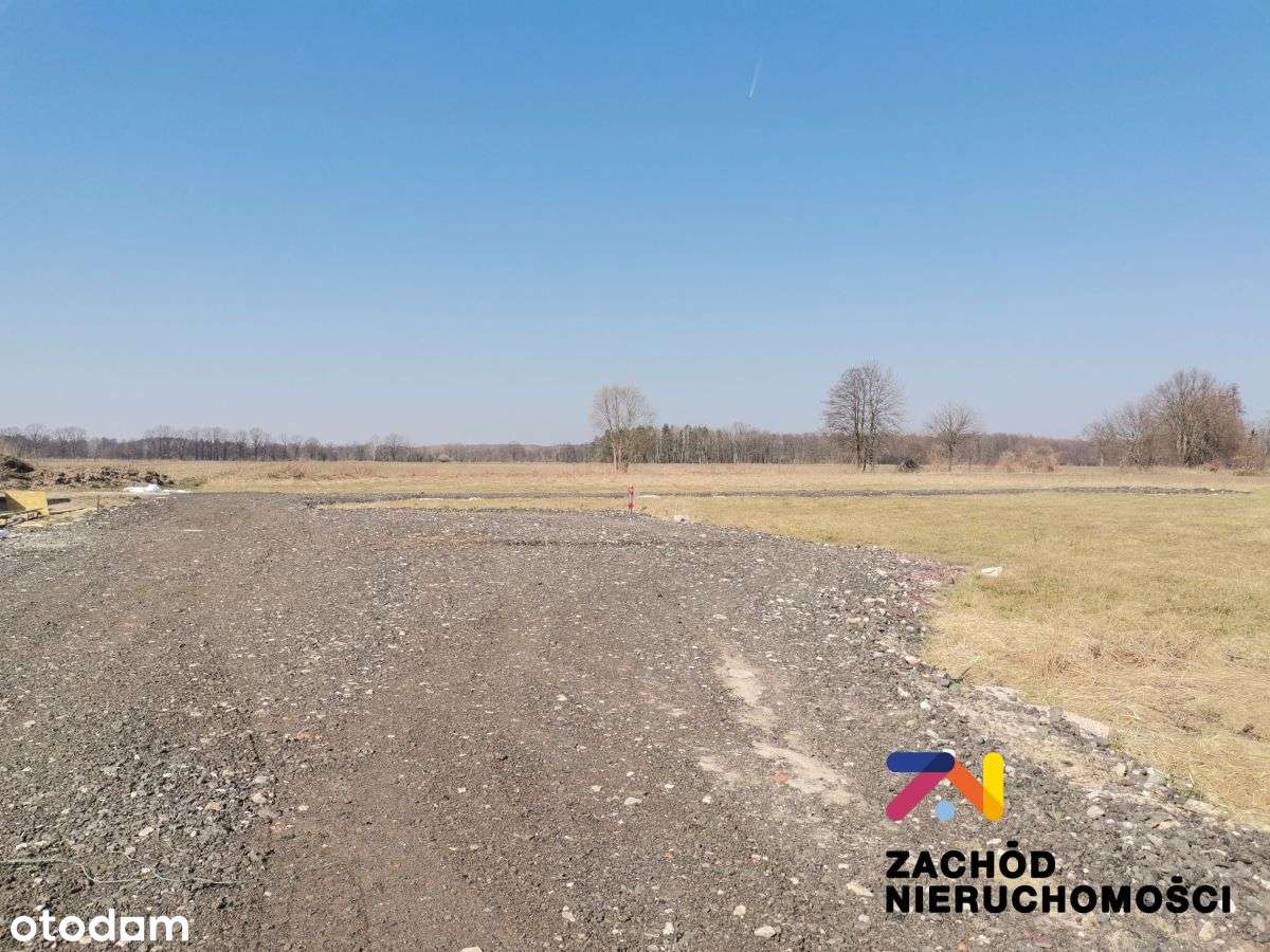 Działka budowlana w Zatoniu - Orchidei - Pełny obrazek: 5/7