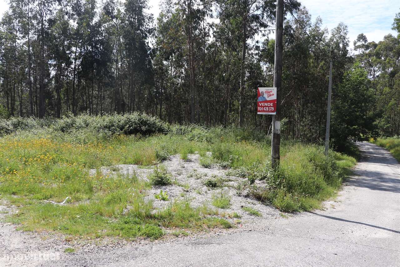 Lote de Terreno  Venda em Lustosa e Barrosas (Santo Estêvão),Lousada - Grande imagem: 4/12