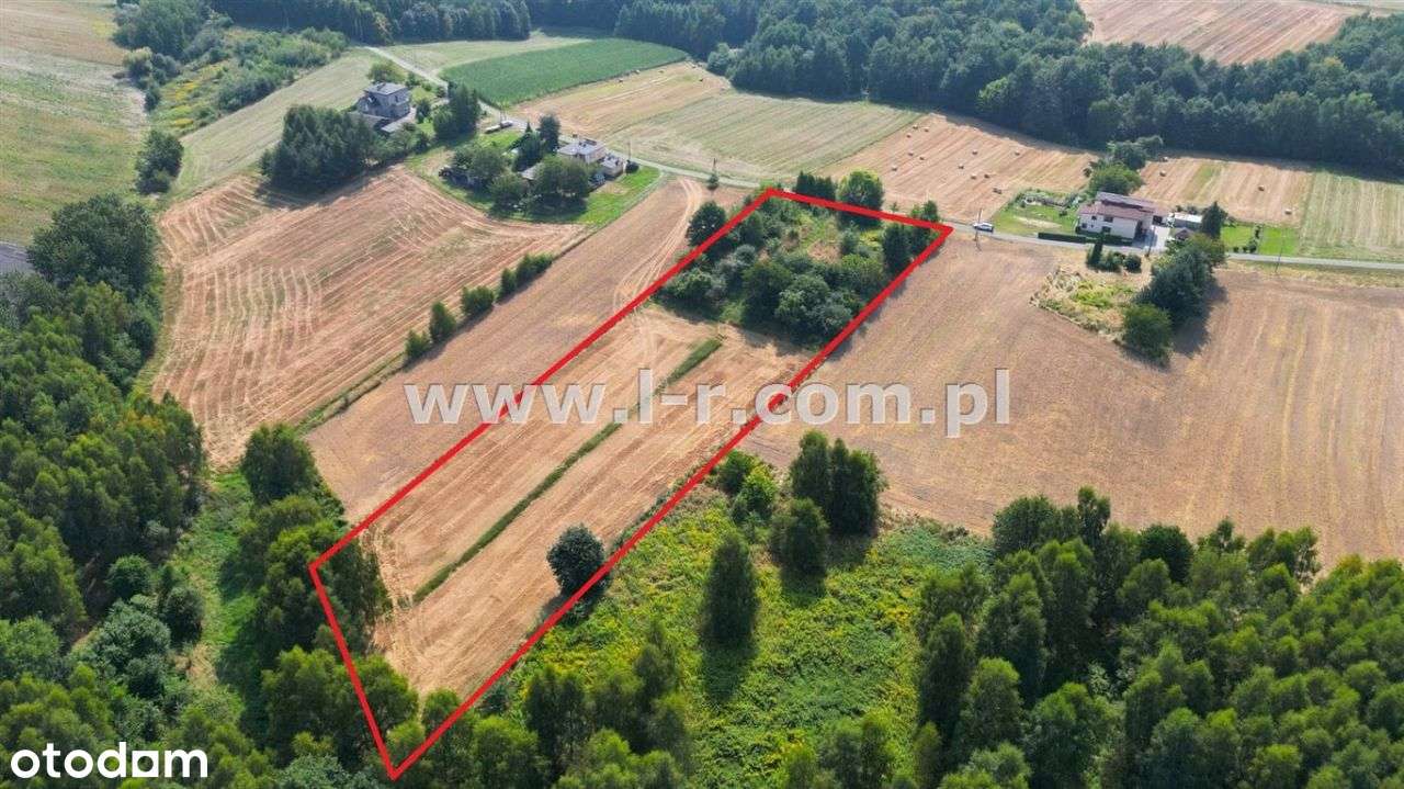 Atrakcyjna Działka W Sąsiedztwie Lasu-1