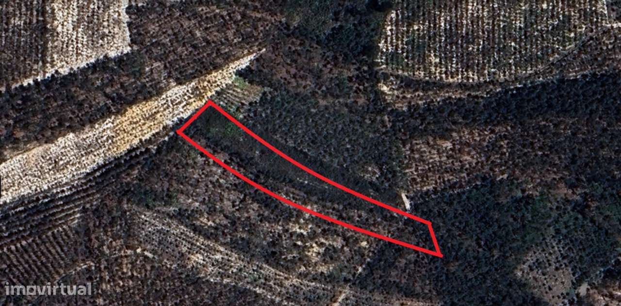Terreno  para venda - Grande imagem: 5/7