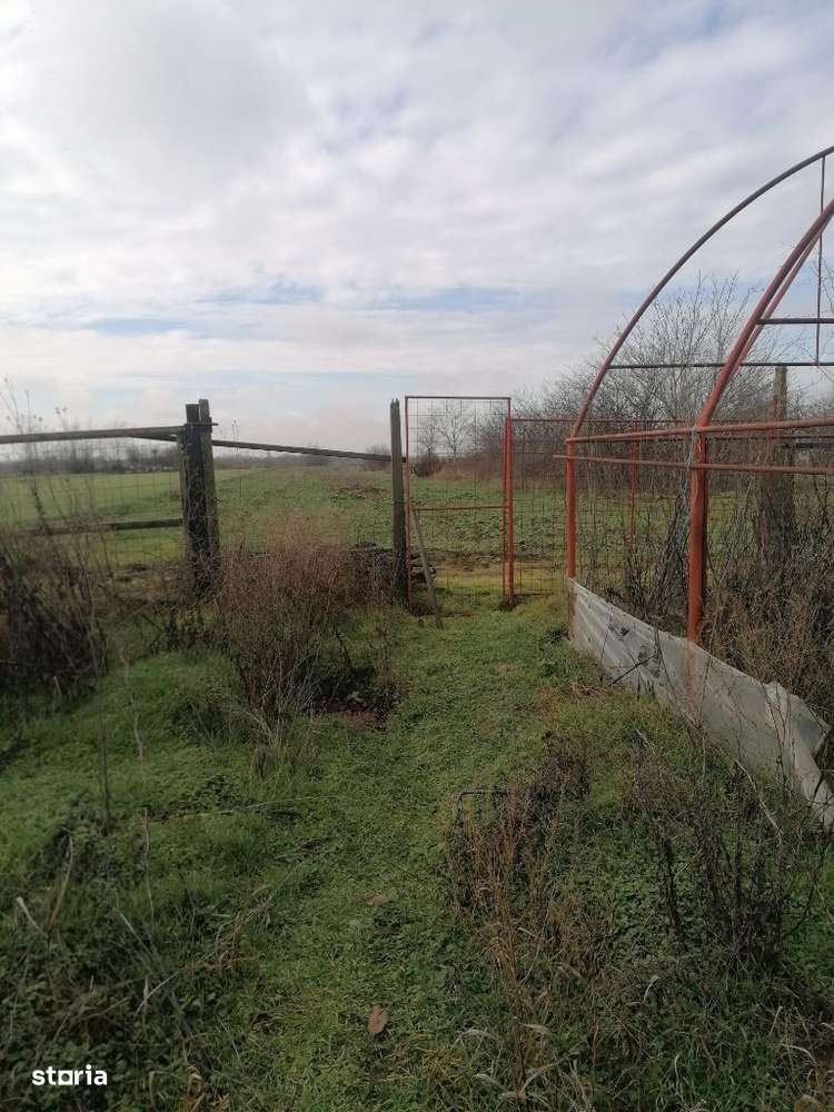 Sat Daita com Daia Plopsoru vanzare casa+teren 3800mp-14