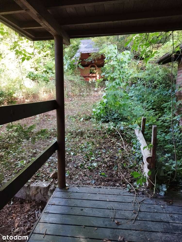 Działka nad rzeką , domek - wyjątkowa działka nad samą rzeką-5