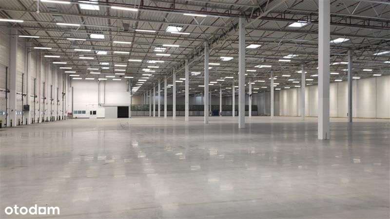 Magazyn - Gdańsk Kokoszki - Pełny obrazek: 4/19