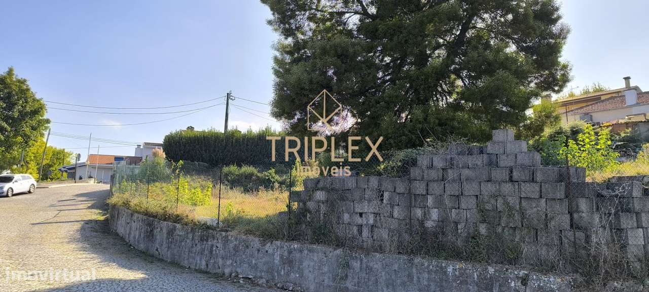 Casa com 3 inquilinos e Terreno -  Monte Sta Cruz-8