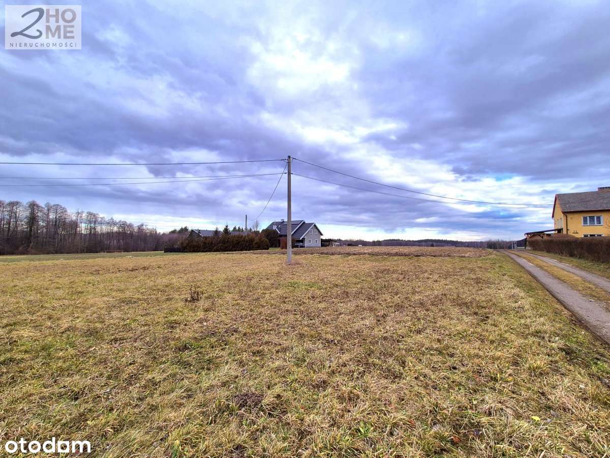 40 arów z WZ w Janowcu-8