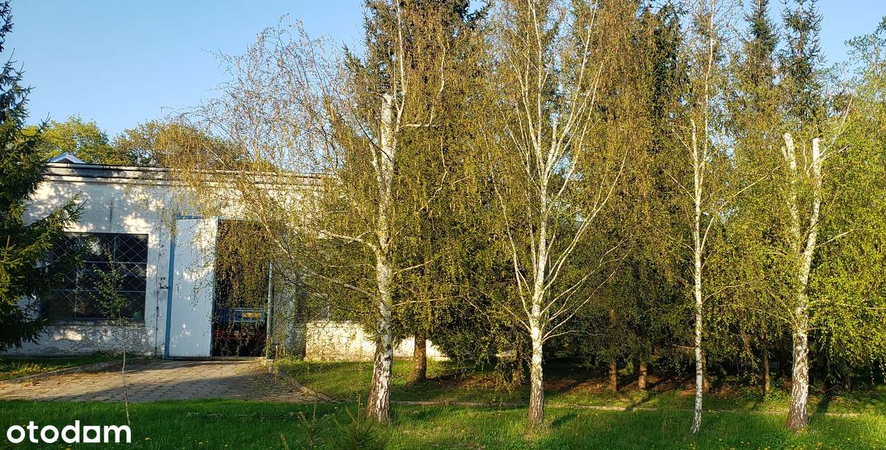 Sprzedam - Pełny obrazek: 5/14