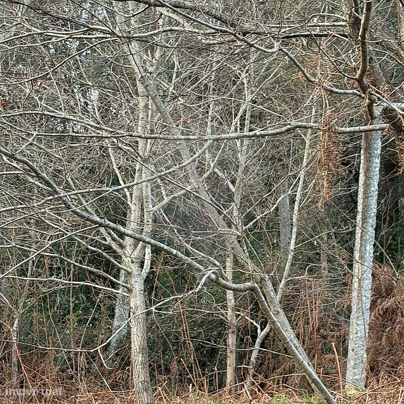 Terreno  para venda - Grande imagem: 2/6