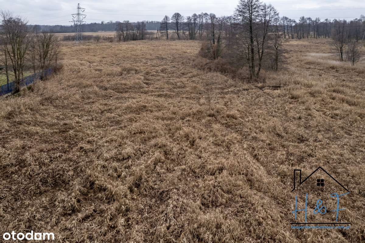 Działka przemysłowa blisko drogi wojewódzkiej-5