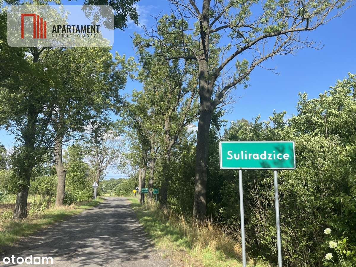 Działka, grunt rolny 2.23 ha - Pełny obrazek: 3/11