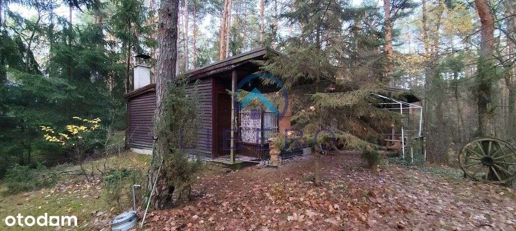 Dom w lesie dla 2 rodzin/ przyjaciół-3