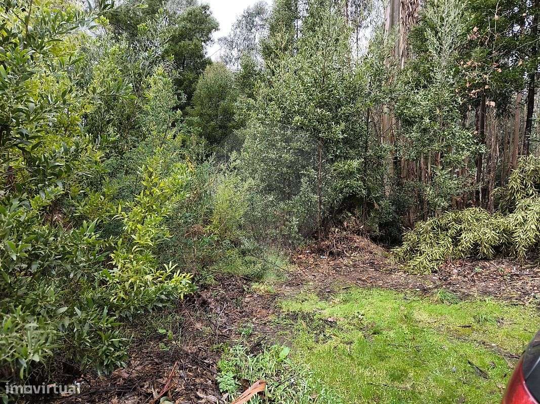 Terreno  para venda - Grande imagem: 5/11