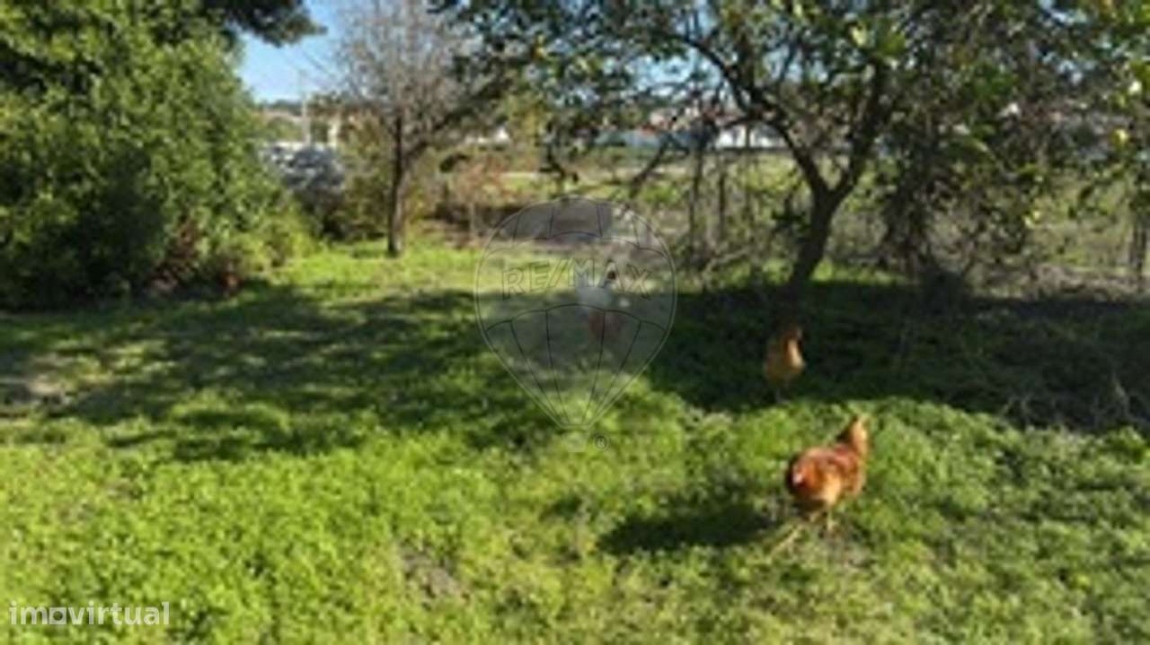 Moradia T3 para venda - Grande imagem: 3/4