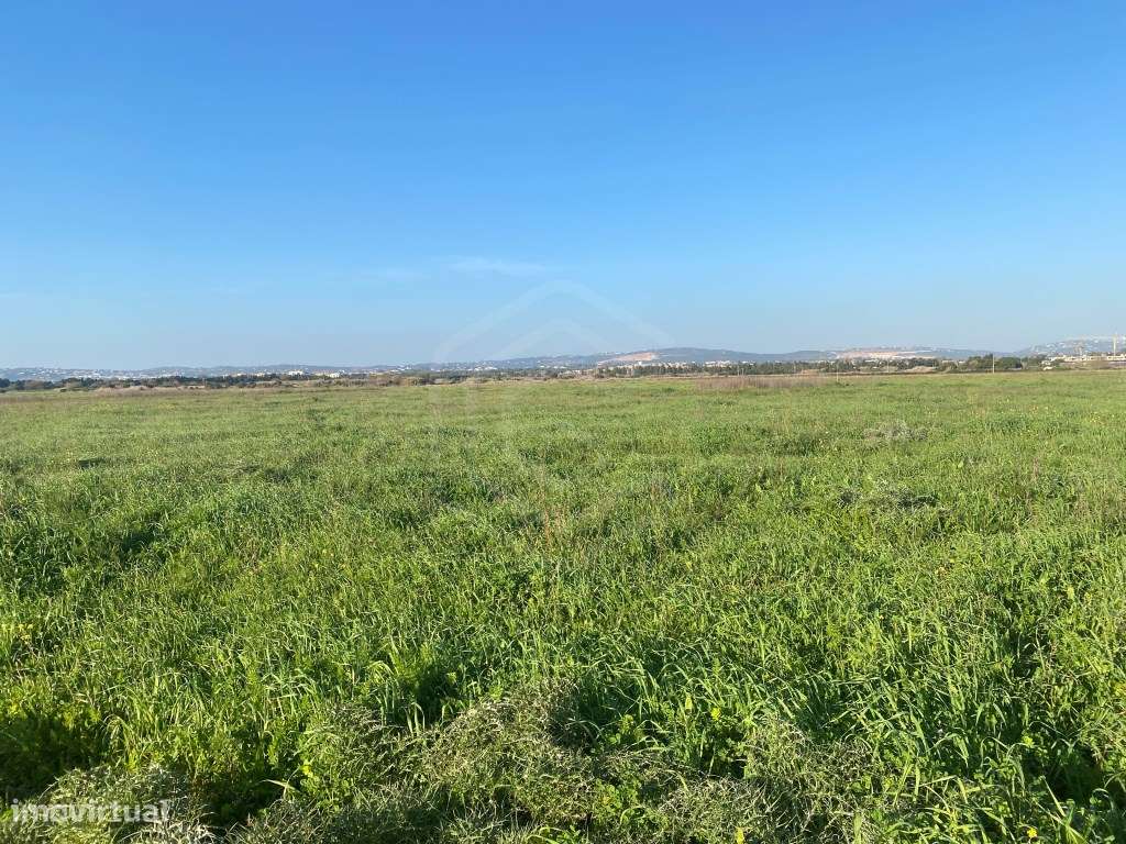 Terreno Rústico perto de Vilamoura, Algarve - Grande imagem: 5/19