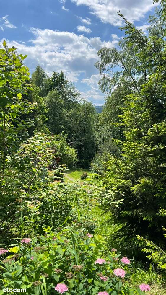 IWKOWA, kameralny dom całoroczny wśród zieleni-17