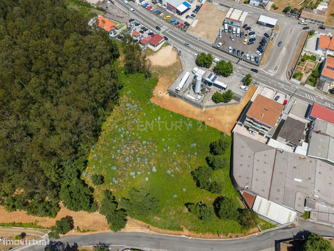 Terreno em Mozelos - 6.900m2 - Grande imagem: 5/13