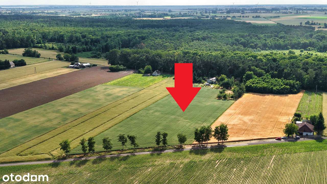 Dom, 68,68 m², Ościsłowo-12