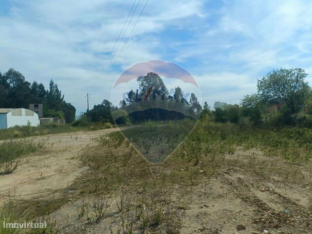 Industrial  para arrendamento - Grande imagem: 4/22