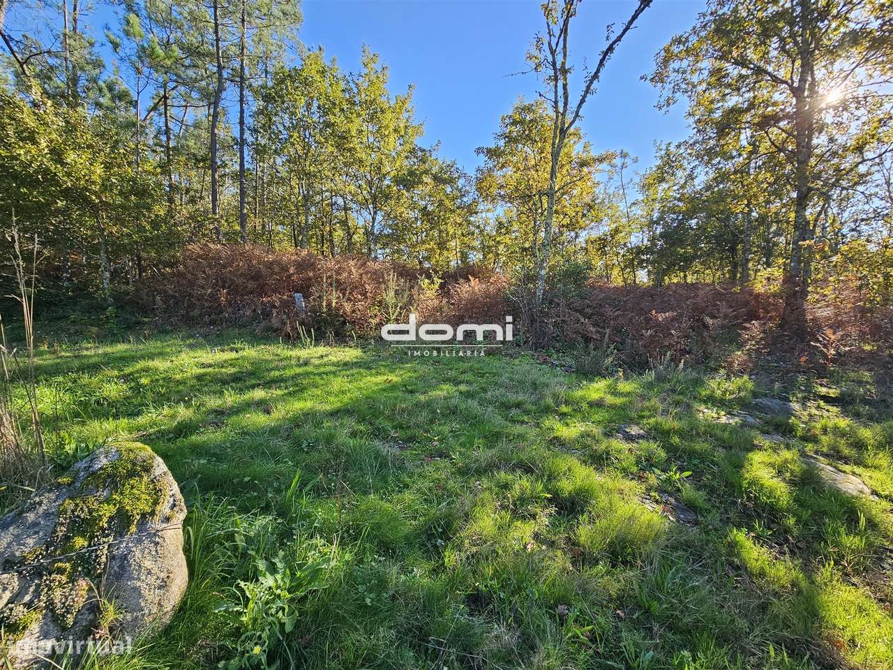 Terreno rústico de 26.258,50 m², com pequena ruína para recuperar - Grande imagem: 2/10