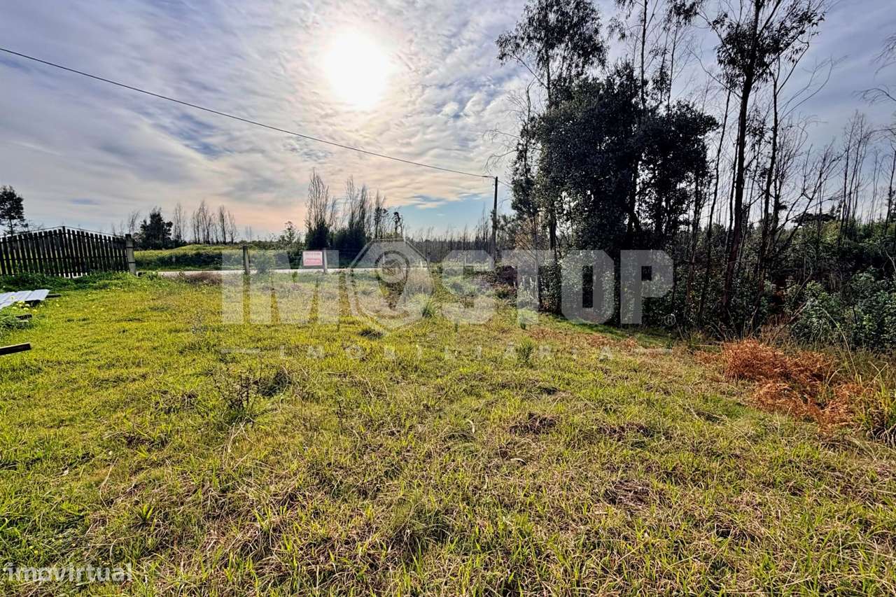 Terreno para construção entre Albergaria-a-Velha e Aveiro-7