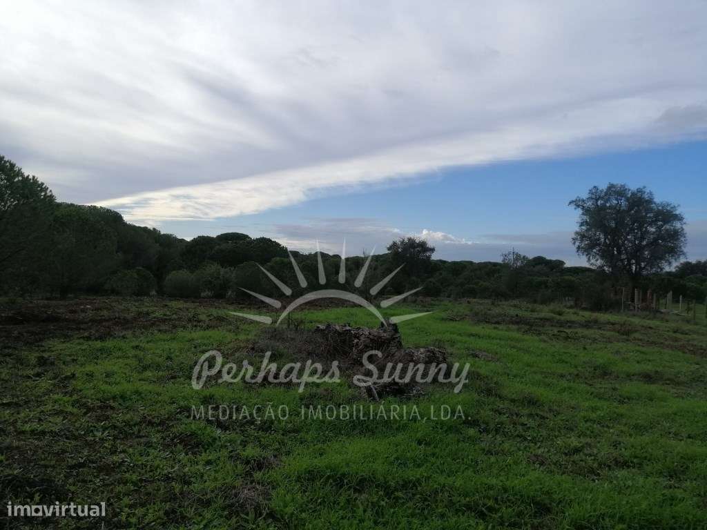 Terreno Rústico em Sobreiras Altas - Melides-7