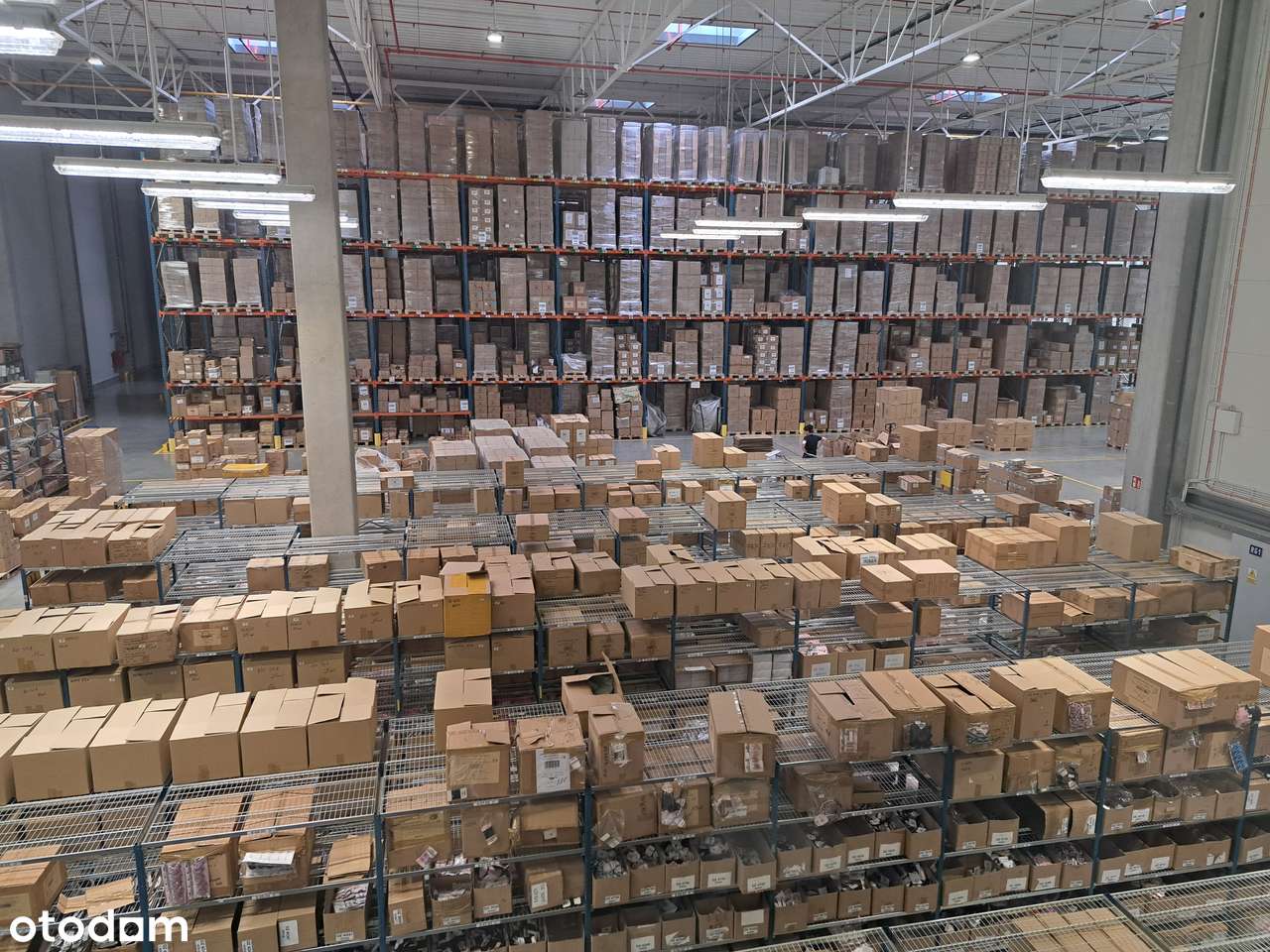 POWIERZCHNIA MAGAZYNOWA PODNAJEM. ŁÓDŹ WIDZEW 2700 m2 - Pełny obrazek: 4/5