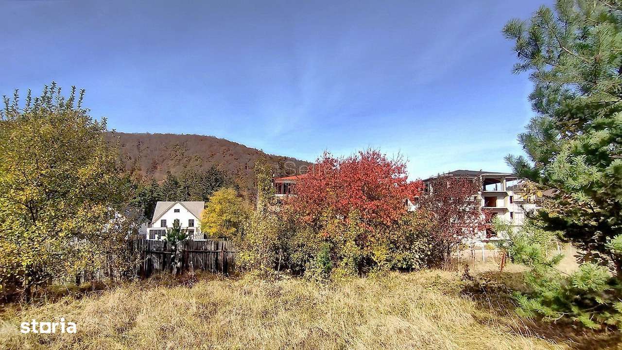 Teren Intravilan Bunloc - Imagine principală: 1/16