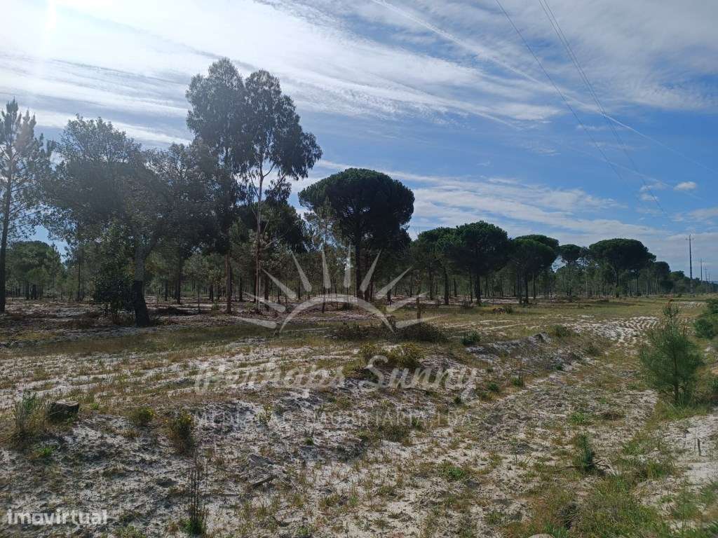 Herdade Bicas - Comporta - Grande imagem: 4/25