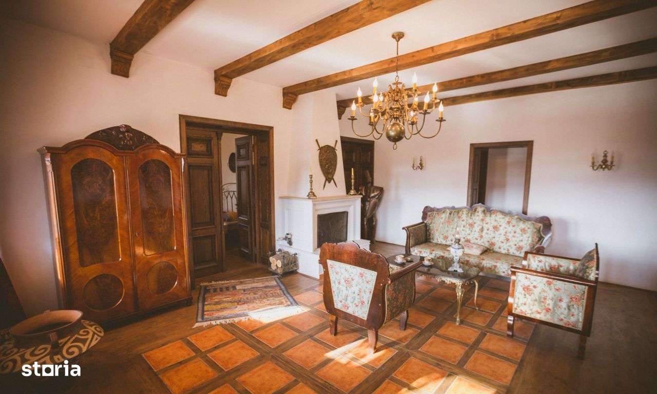 Podgorie de vita-de-vie nobila cu conac boieresc - Imagine principală: 5/10