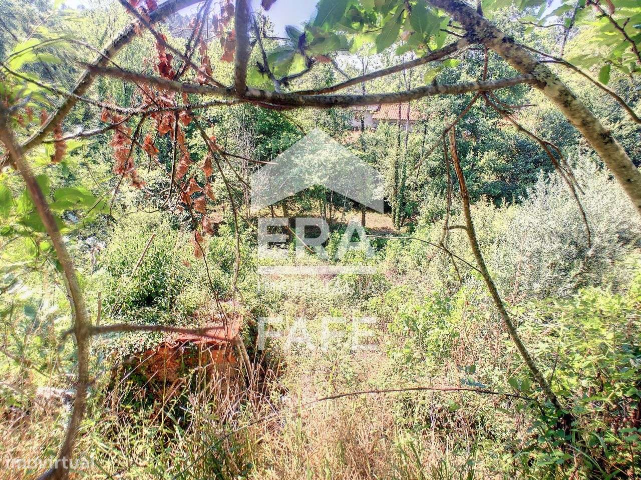 Moradia T2 em Ribeiros, Fafe - Grande imagem: 5/12