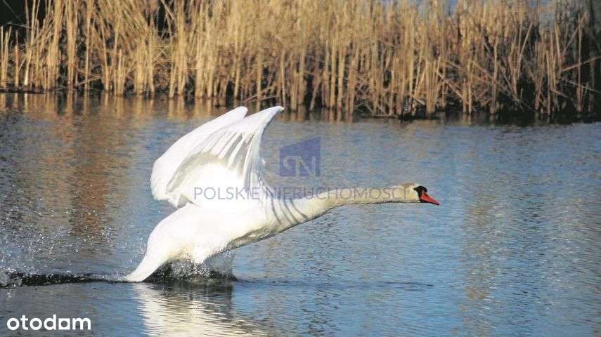 Atrakcyjna cena.Dolina Baryczy, działki z Wz.-6