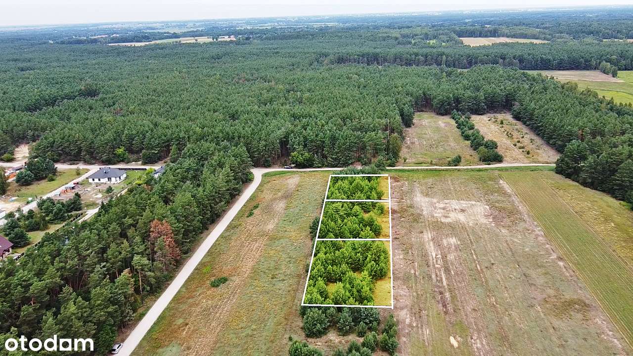 Rajski zakątek pod budowę Twojego domu pod lasem!-1