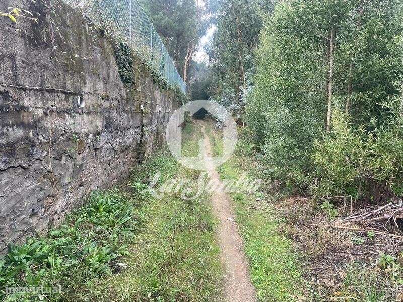 Terreno Rústico com 9.100m2 Inserido em Zona Industrial de Guidões,... - Grande imagem: 5/9