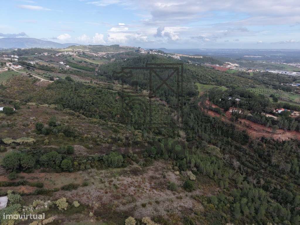 Terreno de 42 hectares, Excelente Investimento - Grande imagem: 4/24