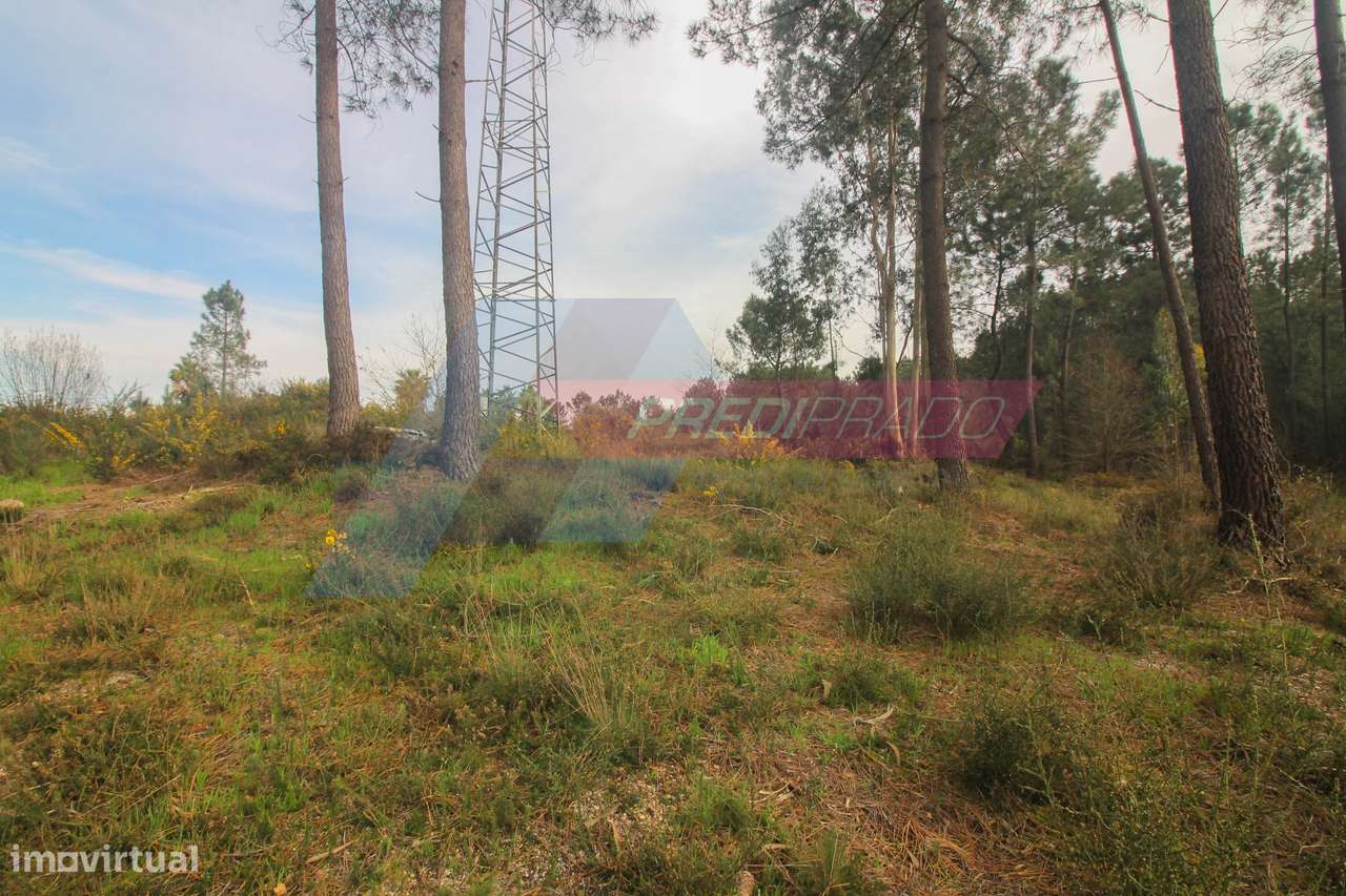 Terreno Industrial na Ucha-4