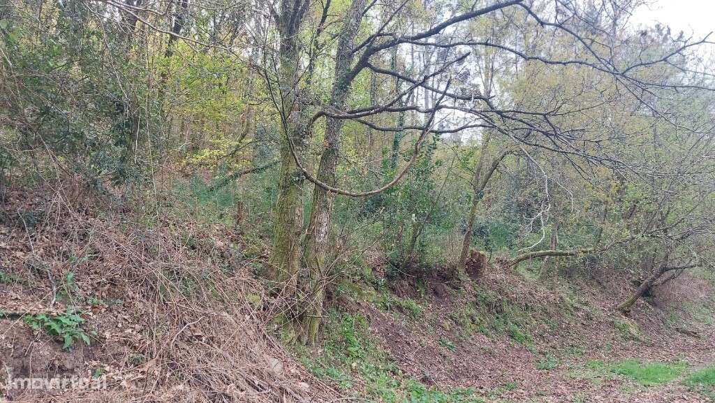 Terreno - Caldelas - Grande imagem: 2/16