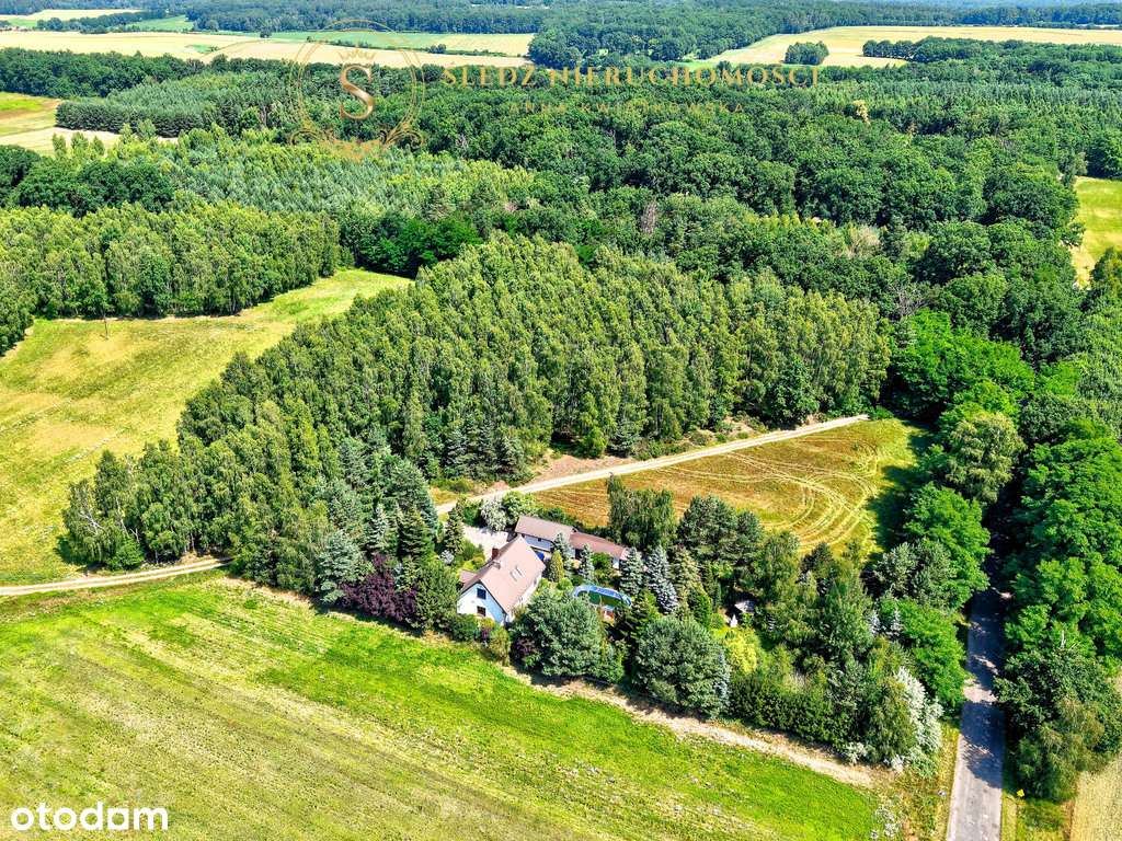 1,2 ha Działka Budowlana 45 min od Wrocławia + Las-12