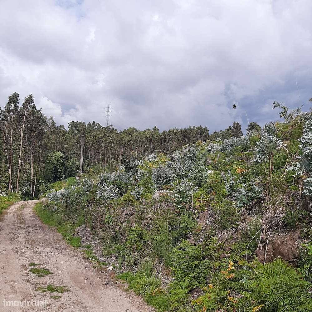 Terreno Rans Penafiel - visão e valorização a médio e longo prazo-11