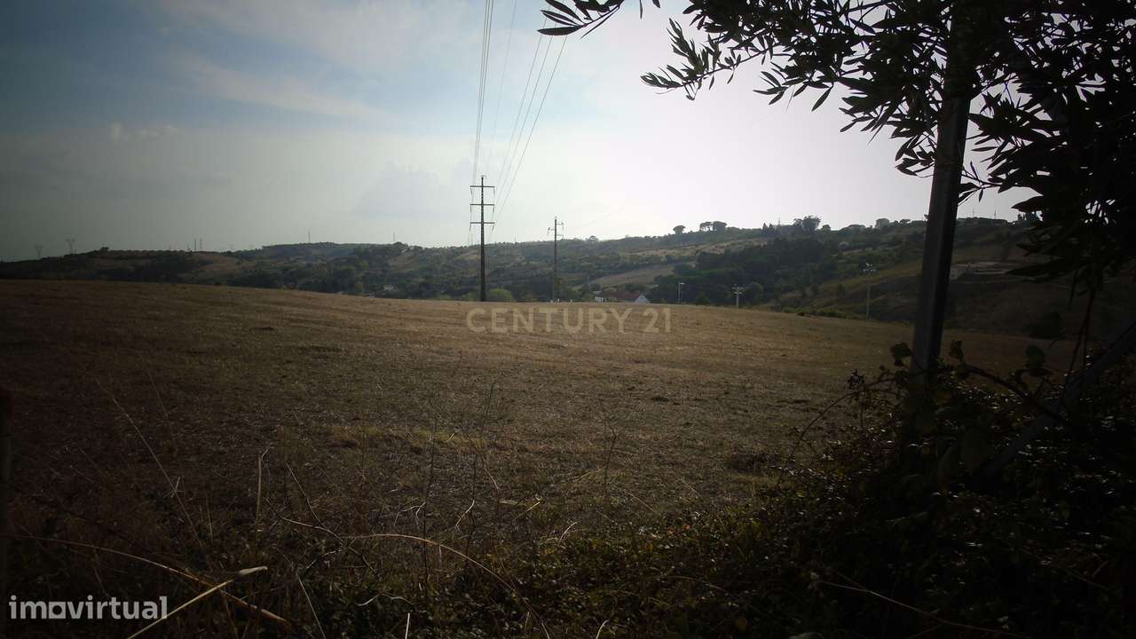 TERRENO MISTO 20.000m² + ARMAZÉM 420m² | OFICINA DE CARROS | VILA FRAN-10