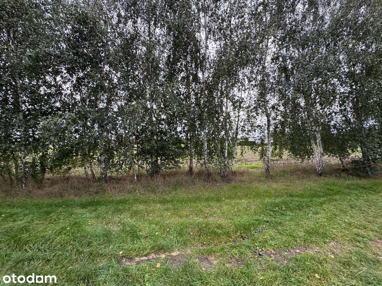 Dachowa | Dwie działki budowlane, łacznie  1552 m² z MPZP-8