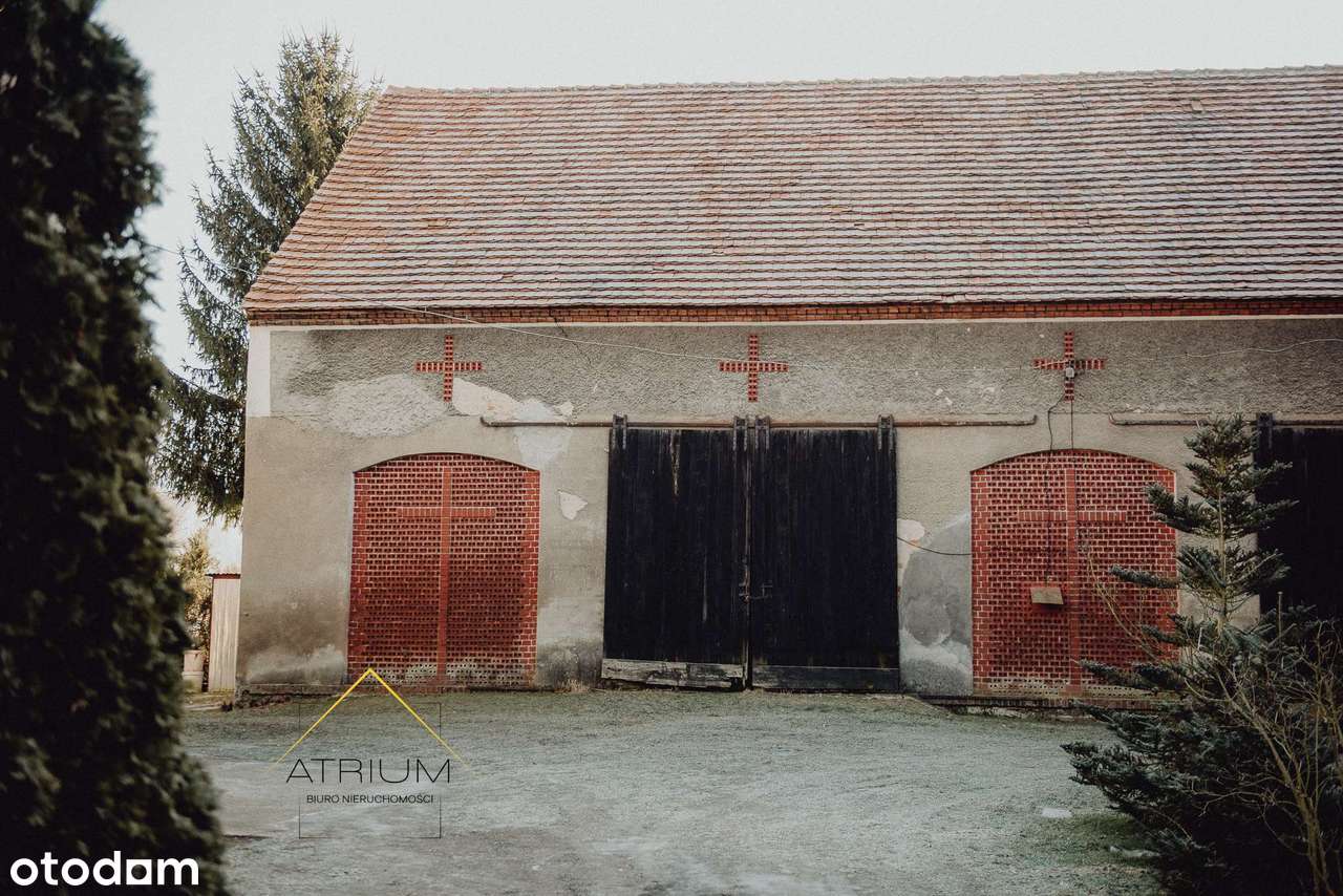 Duże mieszkanie Nowy Kościół | ogród - osobna działka na własność-15