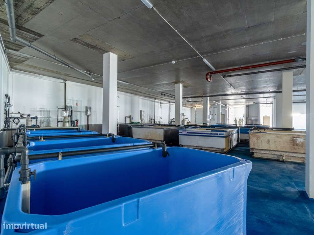 Edifício 1ª linha de mar - Peniche - opções múltiplas de investimento-36