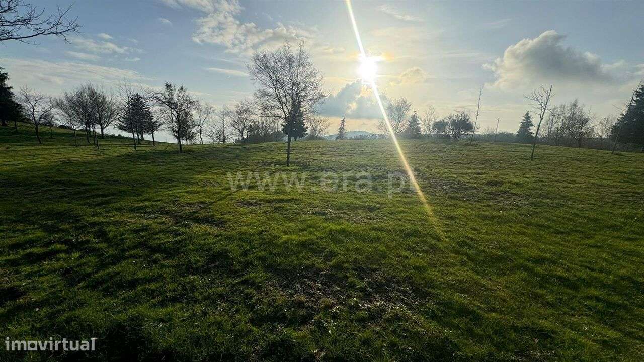 Terreno / Baião, Campelo e Ovil - Grande imagem: 3/7
