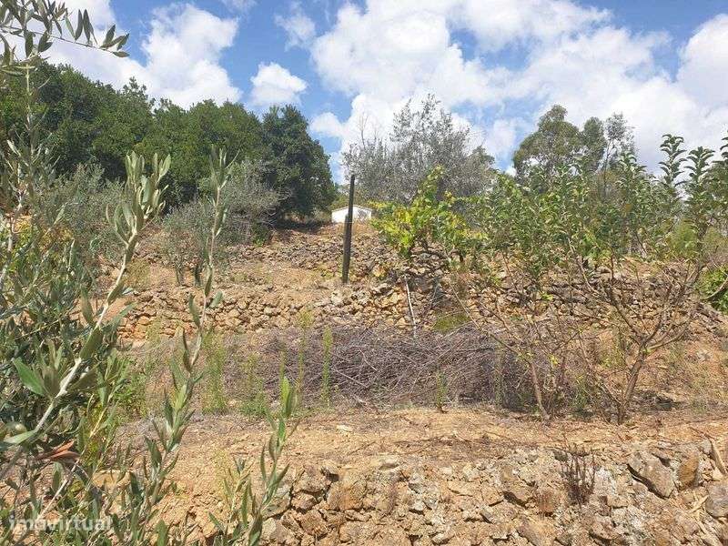 Lote de Terrenos Rústicos sitos em Oleiros - Mais